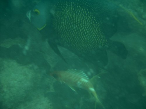 IMAG0019